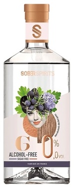 Spiritueux Sans Alcool - Alternative Gin 0.5 L
