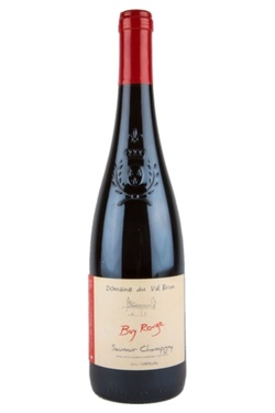 Aop Saumur Champigny Domaine Du Val Brun Bay Rouge 2023 Bio