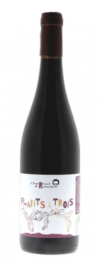 Vin De France Plants A Trois Rocheville Rouge 2023 Bio