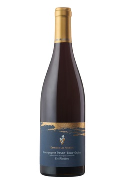 Aop Bourgogne Passe-tout-grains Riotte Les Astrelles 2023 Bio